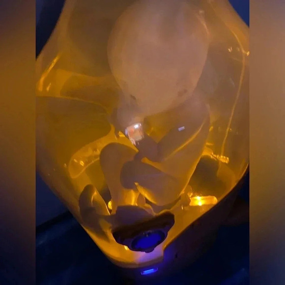 Death Stranding - Collector’s Edition  BB Pod Replica - 1/1 Scale - - Picture 12 of 16